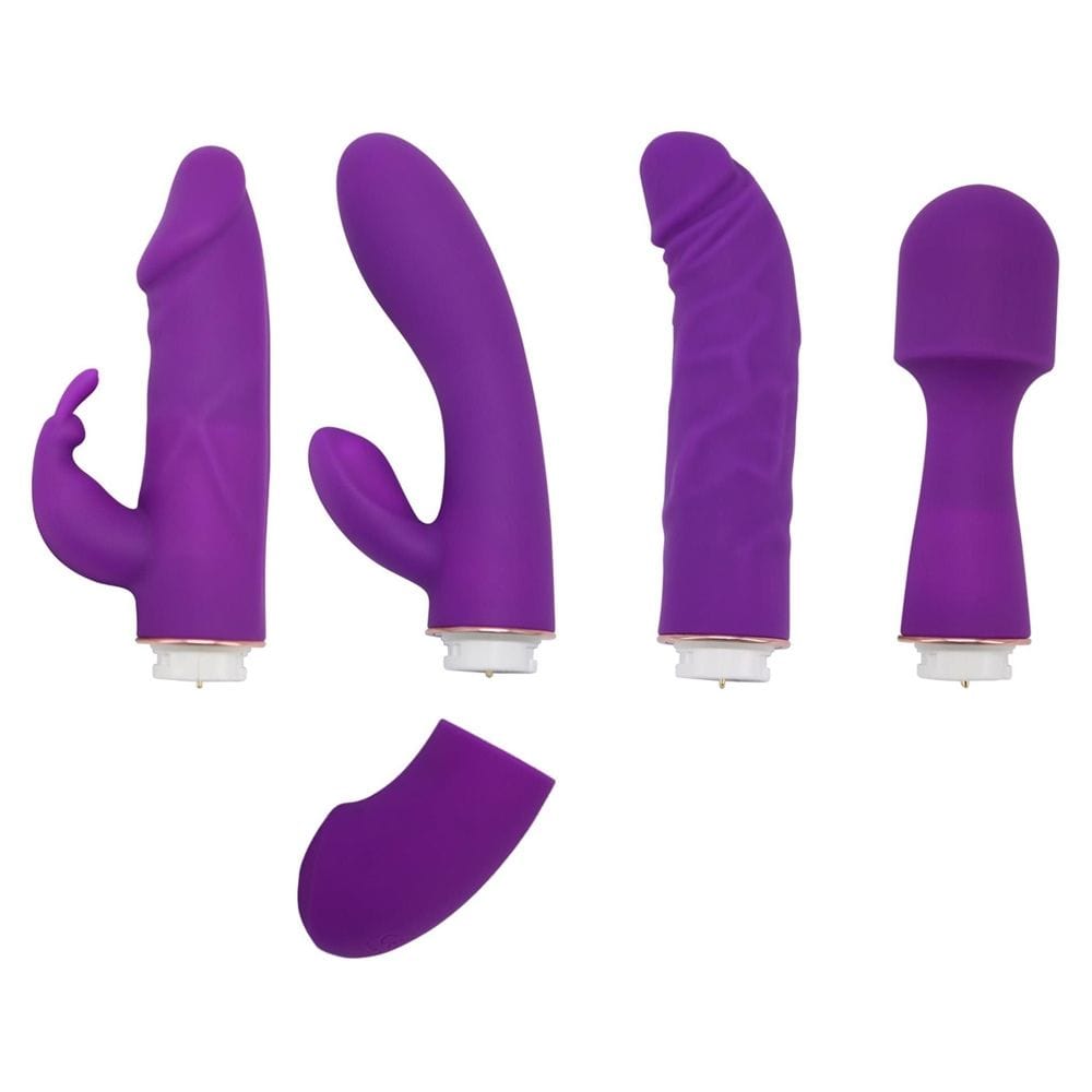 Private Collection - Ultimate Vibrator Kit with 4 Interchangeable Toys | USB Rechargeable Private Collection - For Me To Love