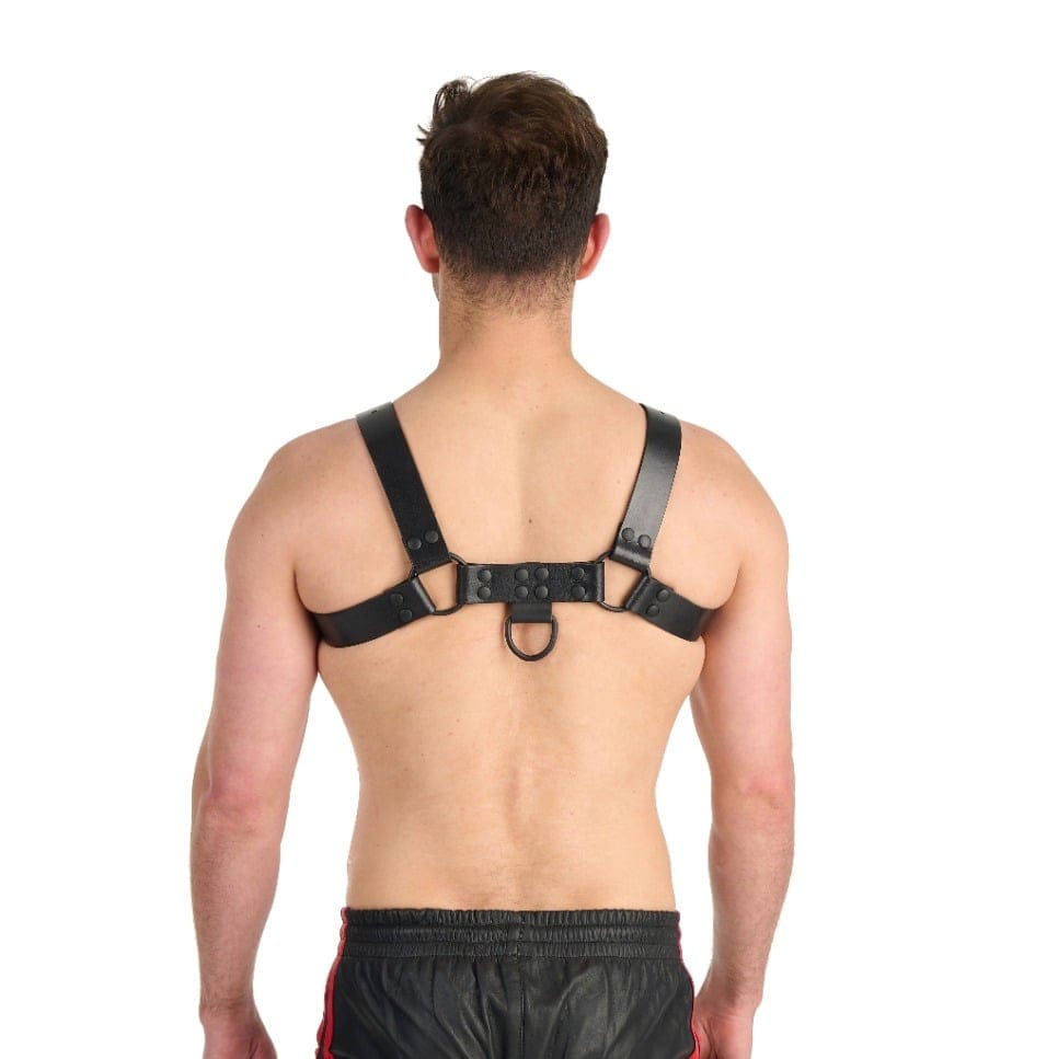 Prowler RED - Adjustable Bull D-Ring Noir Leather Chest Harness | 4 Sizes Prowler Red - For Me To Love