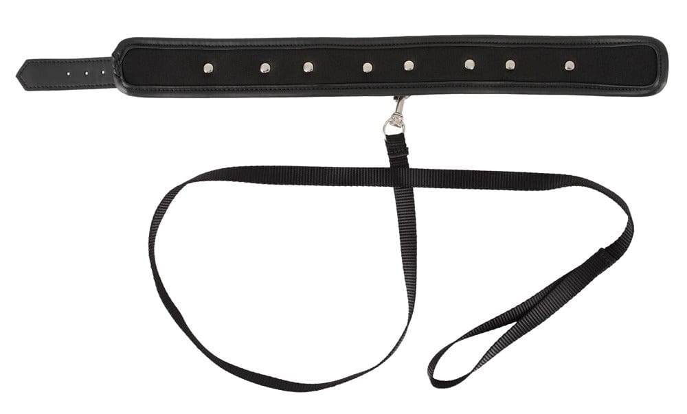 vegan fetish Vegan Fetish Black Collar & Leash