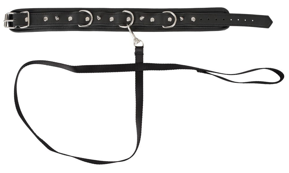 vegan fetish Vegan Fetish Black Collar & Leash
