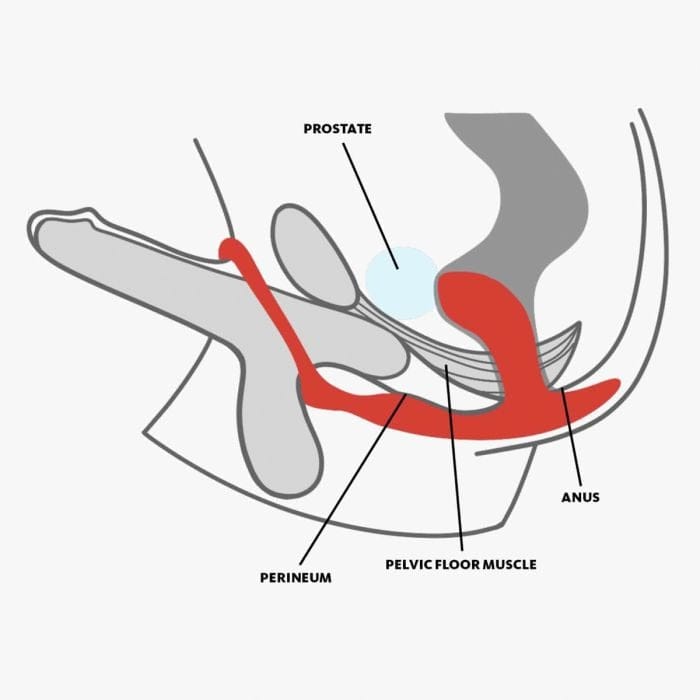 Fun Factory - Bootie Cock Ring and Prostate Plug | Slate 2.5 inch Insertable Fun Factory - For Me To Love